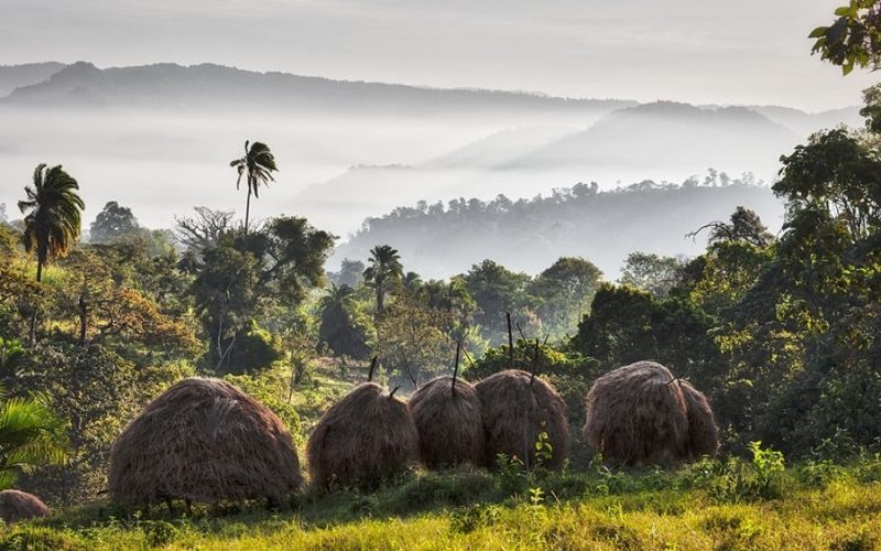 Ethiopia, Bonga